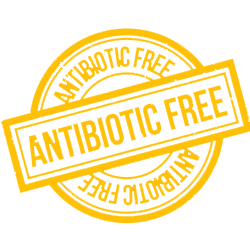 antibiotic-free-icon